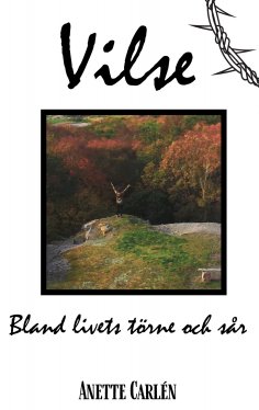 eBook: Vilse