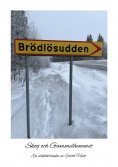 eBook: Brödlösudden