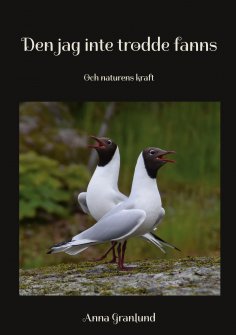 ebook: Den jag inte trodde fanns