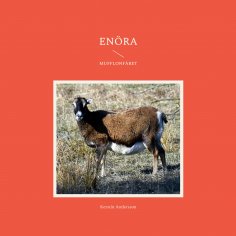 ebook: Enöra