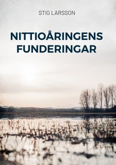 eBook: Nittioåringens funderingar