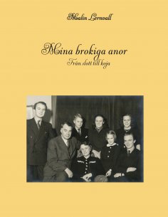 eBook: Mina brokiga anor