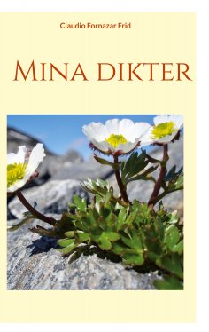 eBook: Mina dikter