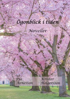 ebook: Ögonblick i tiden