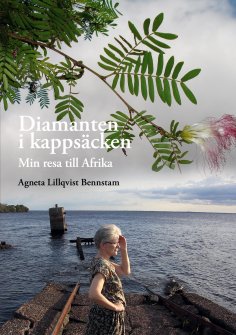 eBook: Diamanten i kappsäcken