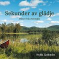 eBook: Sekunder av glädje
