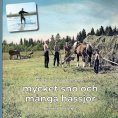 eBook: På den tiden det fanns mycket snö och många hässjor