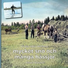 eBook: På den tiden det fanns mycket snö och många hässjor