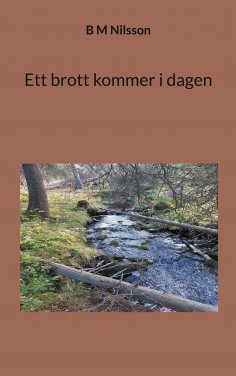 eBook: Ett brott kommer i dagen