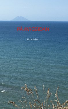 ebook: På avigsidan