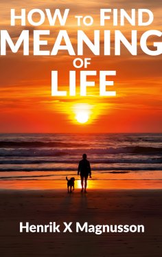 ebook: How to Find Meaning of Life
