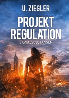 eBook: projektregulation