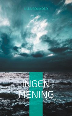 eBook: Ingen mening