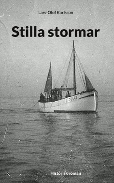 ebook: Stilla stormar
