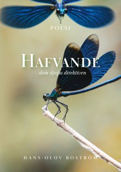 eBook: Hafvande - dom djupa direktiven