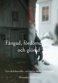ebook: Fångad, fördömd, fast och glömd