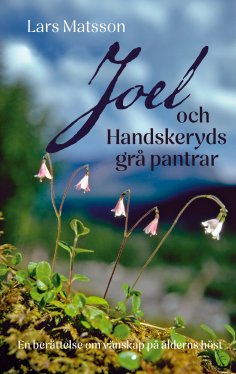 eBook: Joel och Handskeryds grå pantrar