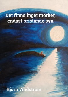 eBook: Det finns inget mörker, endast bristande syn