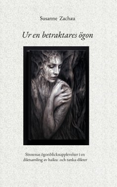eBook: Ur en betraktares ögon