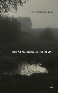 ebook: Det är aldrig synd om en man