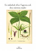 ebook: En målarbok öfver Fagersta ock dess närmsta nejder