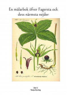 ebook: En målarbok öfver Fagersta ock dess närmsta nejder