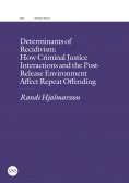 ebook: Determinants of Recidivism
