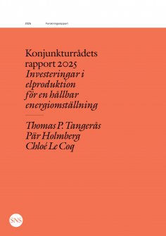 eBook: Konjunkturrådets rapport 2025
