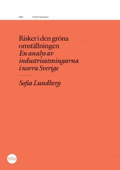 ebook: Risker i den gröna omställningen