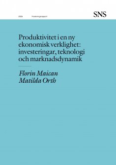 ebook: Produktivitet i en ny ekonomisk verklighet: investeringar, teknologi och marknadsdynamik