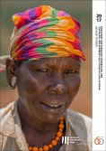 eBook: Annual Report 2017 on EIB activity in Africa, the Caribbean and Pacific, and the overseas territorie