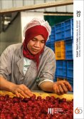 eBook: FEMIP Trust Fund Annual Report 2017: Serving the Southern Neighbourhood
