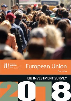 eBook: EIB Investment Survey 2018 - EU overview