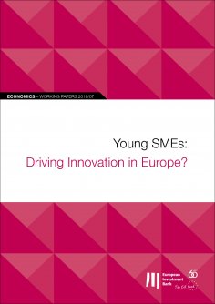 eBook: EIB Working Papers 2018/07 - Young SMEs: Driving Innovation in Europe?