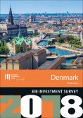 eBook: EIB Investment Survey 2018 - Denmark overview