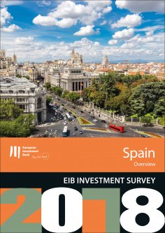 eBook: EIB Investment Survey 2018 - Spain overview
