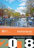 eBook: EIB Investment Survey 2018 - Netherlands overview