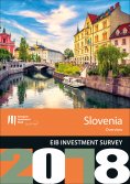eBook: EIB Investment Survey 2018 - Slovenia overview