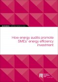eBook: EIB Working Papers 2019/02 - How energy audits promote SMEs' energy efficiency investment
