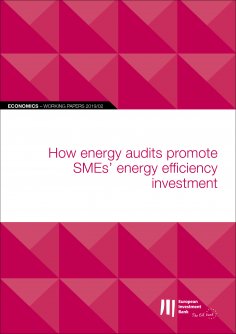 eBook: EIB Working Papers 2019/02 - How energy audits promote SMEs' energy efficiency investment