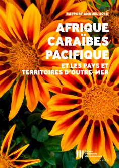 ebook: Activité de la BEI en Afrique, Caraïbes, Pacifique et dans les pays et territoires d'outre-mer