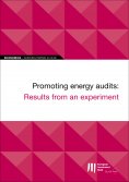 ebook: EIB Working Papers 2019/06 - Promoting energy audits: Results from an experiment