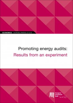 ebook: EIB Working Papers 2019/06 - Promoting energy audits: Results from an experiment