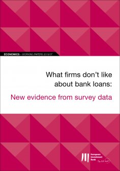 eBook: EIB Working Papers 2019/07 - What firms don't like about bank loans: New evidence from survey data