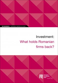 ebook: EIB Working Papers 2019/08 - Investment: What holds Romanian firms back?