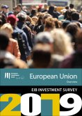 ebook: EIB Group Survey on  Investment and Investment Finance 2019: EU overview