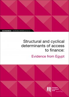 ebook: EIB Working Papers 2019/10 - Structural and cyclical determinants of access to finance