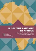ebook: Le secteur bancaire en Afrique: financer la transformation sur fond d'incertitude