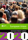 ebook: EIB Group Survey on  Investment and Investment Finance 2020: EU overview