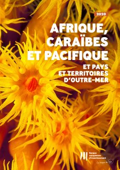 ebook: Activité de la BEI en Afrique, dans les Caraïbes et dans le Pacifique ainsi que dans les pays et ter